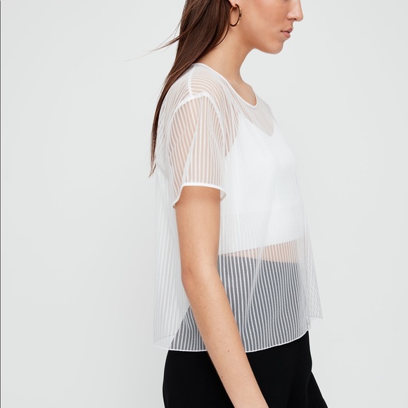 Aritzia Babaton Sheer Pinstripe Top - Brand New With Tags - Picture 3 of 7